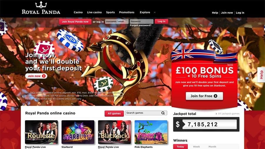 nextbet live casino